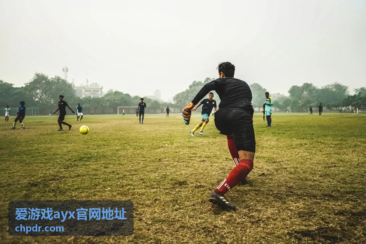 爱游戏ayx官网地址客户端升级操作顺序